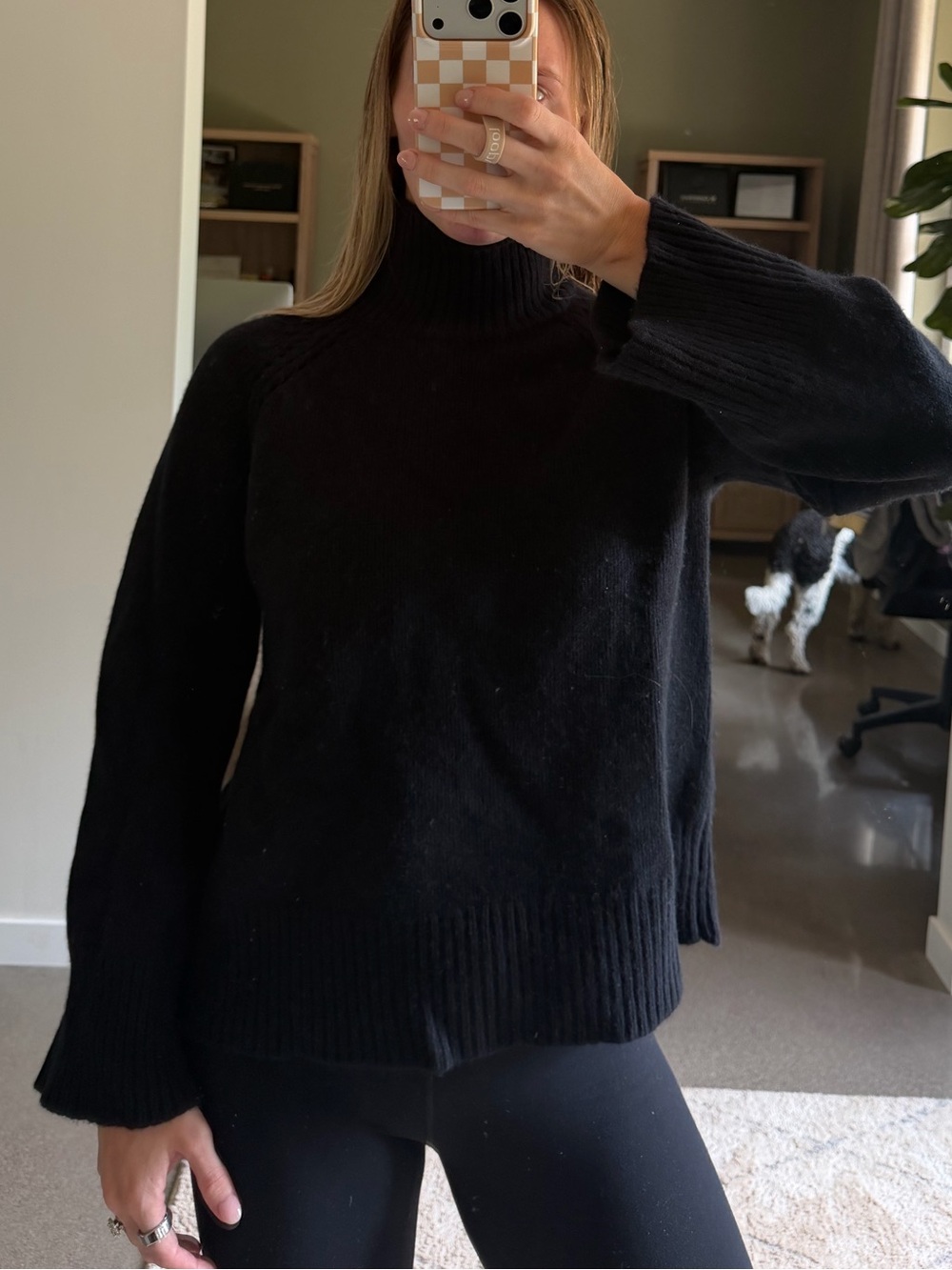 Aritzia Turtleneck Sweater